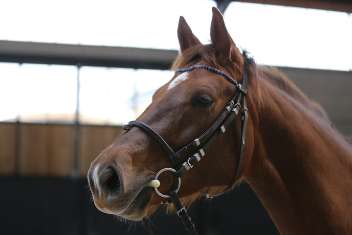 La lithothérapie pour chevaux ? testé et approuvé par Mon Cheval est une bombe !