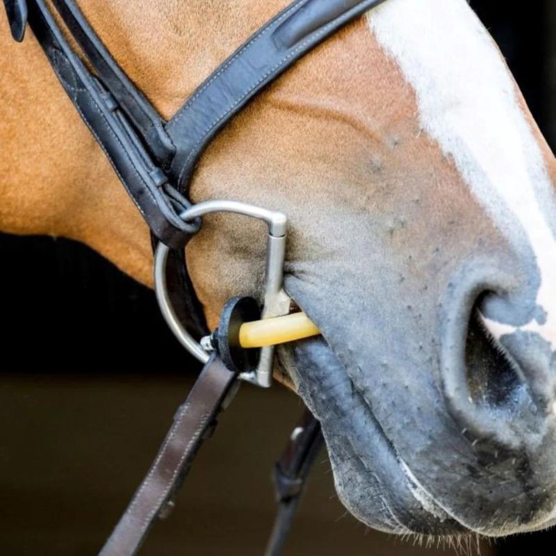 ThinLine Bridle Busy Buddy - Calmer les chevaux
