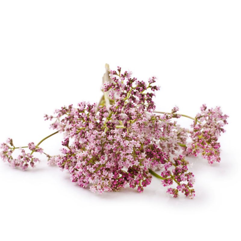 Valériane EFGM Bio - 250 ml