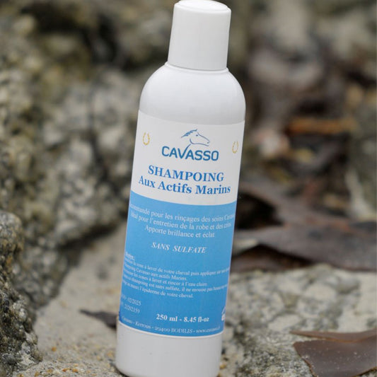 Shampoing aux Actifs Marins 250 ml
