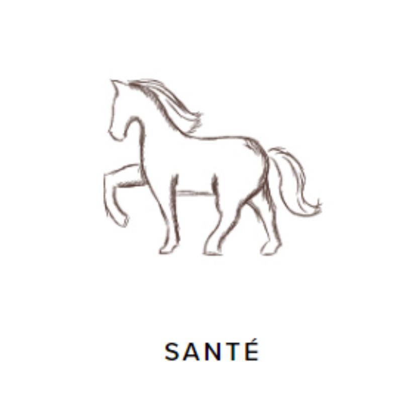 ProbioGuts - probiotiques cheval 5 kg