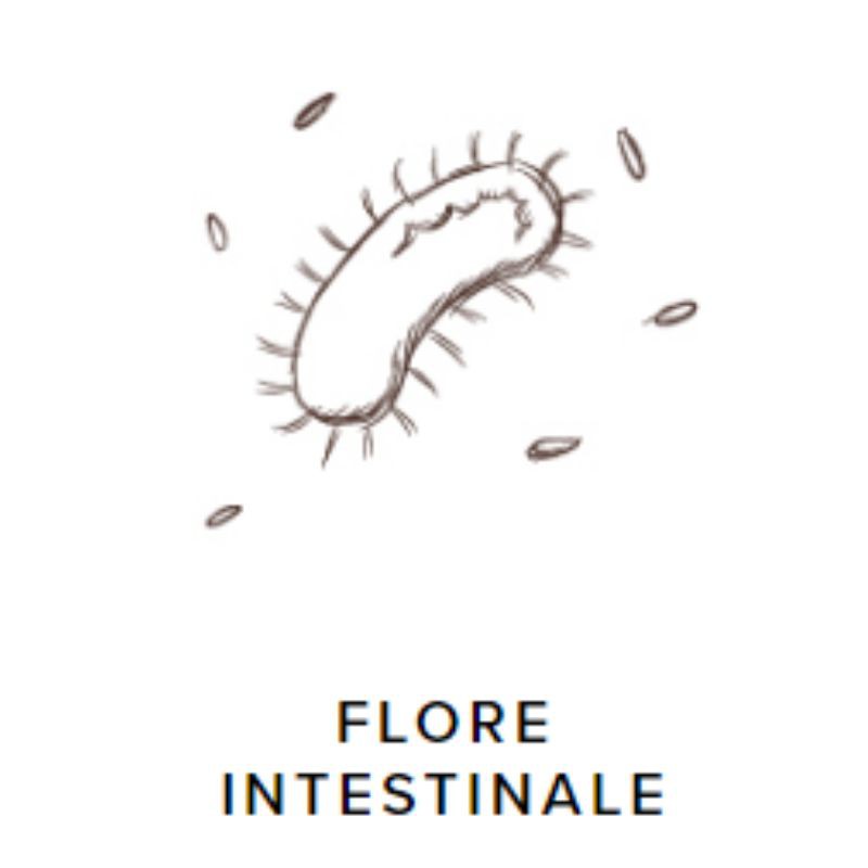 Snack & Guts - Crackers