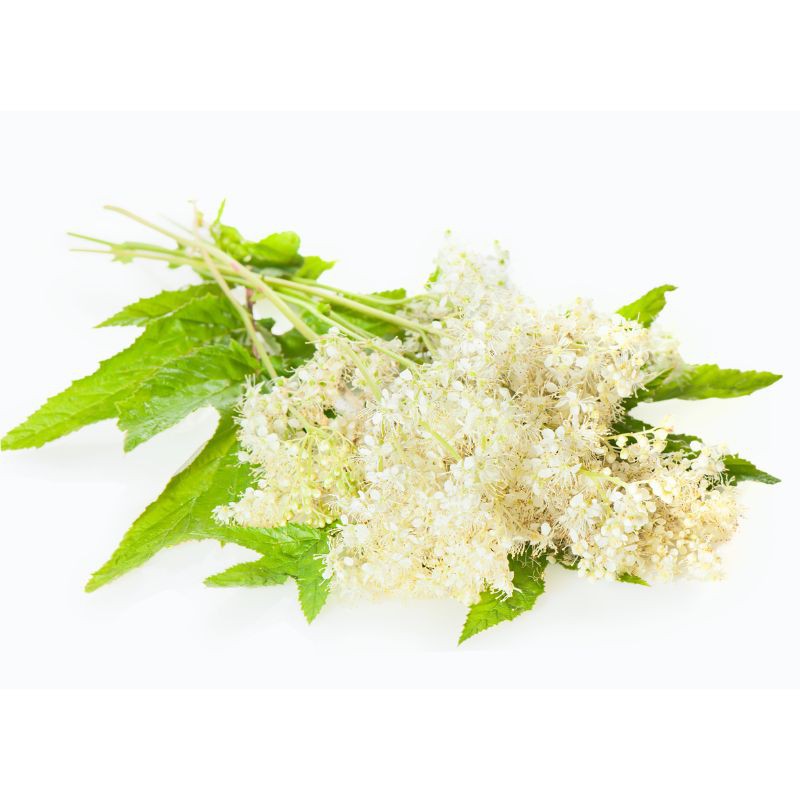 EFGM Reine-des-prés