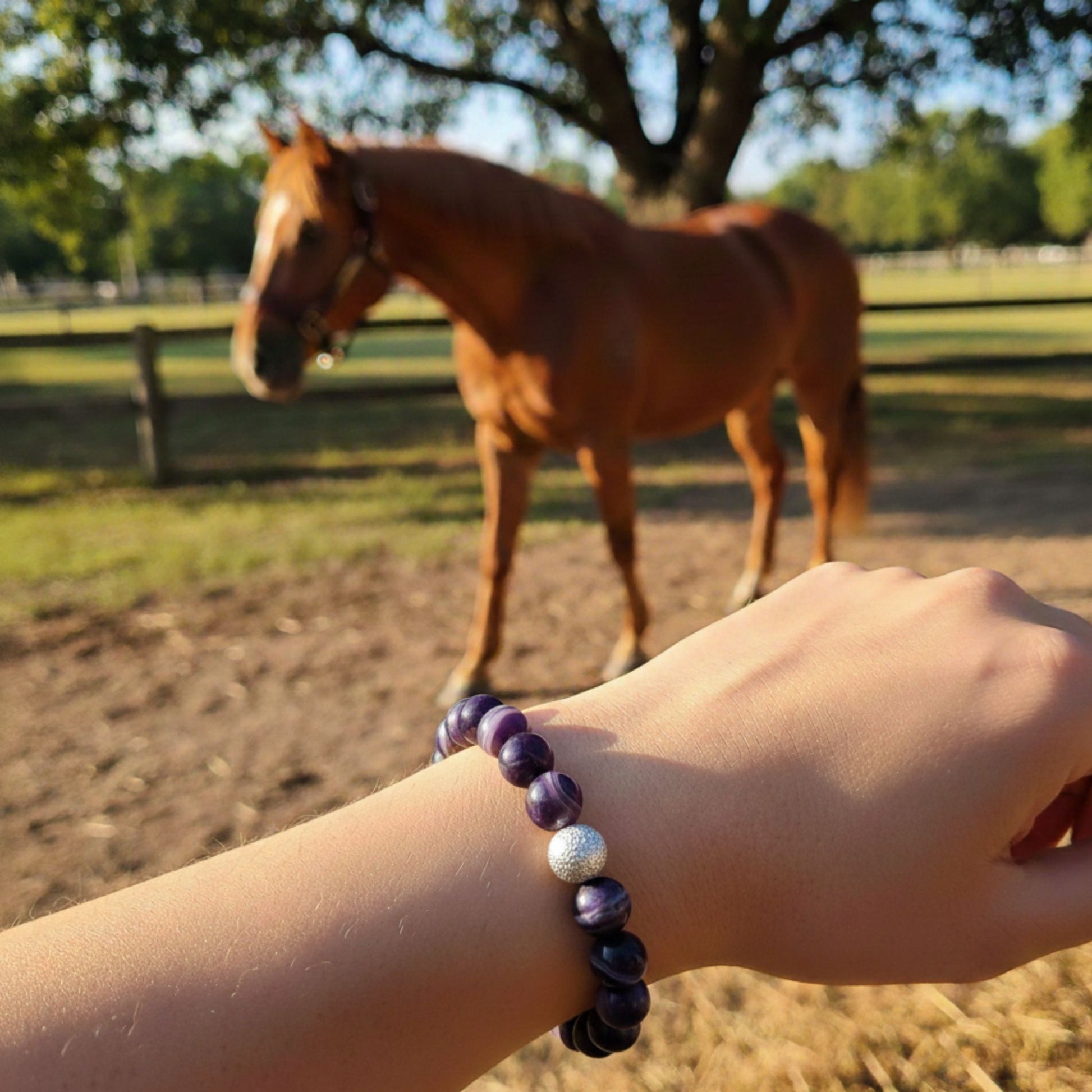 Agate Lithothérapie cheval Horse Remedy