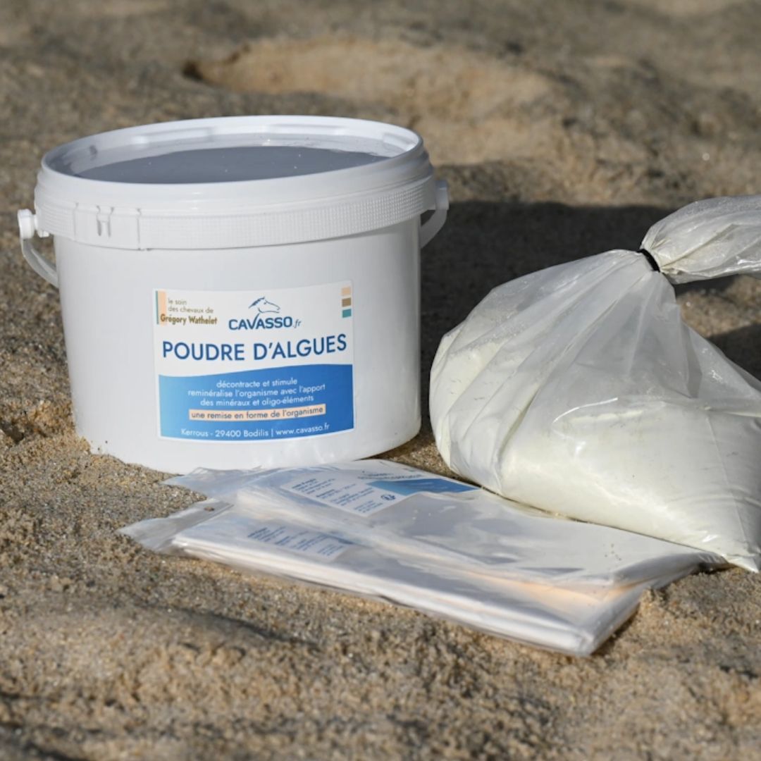 Poudre d'algues