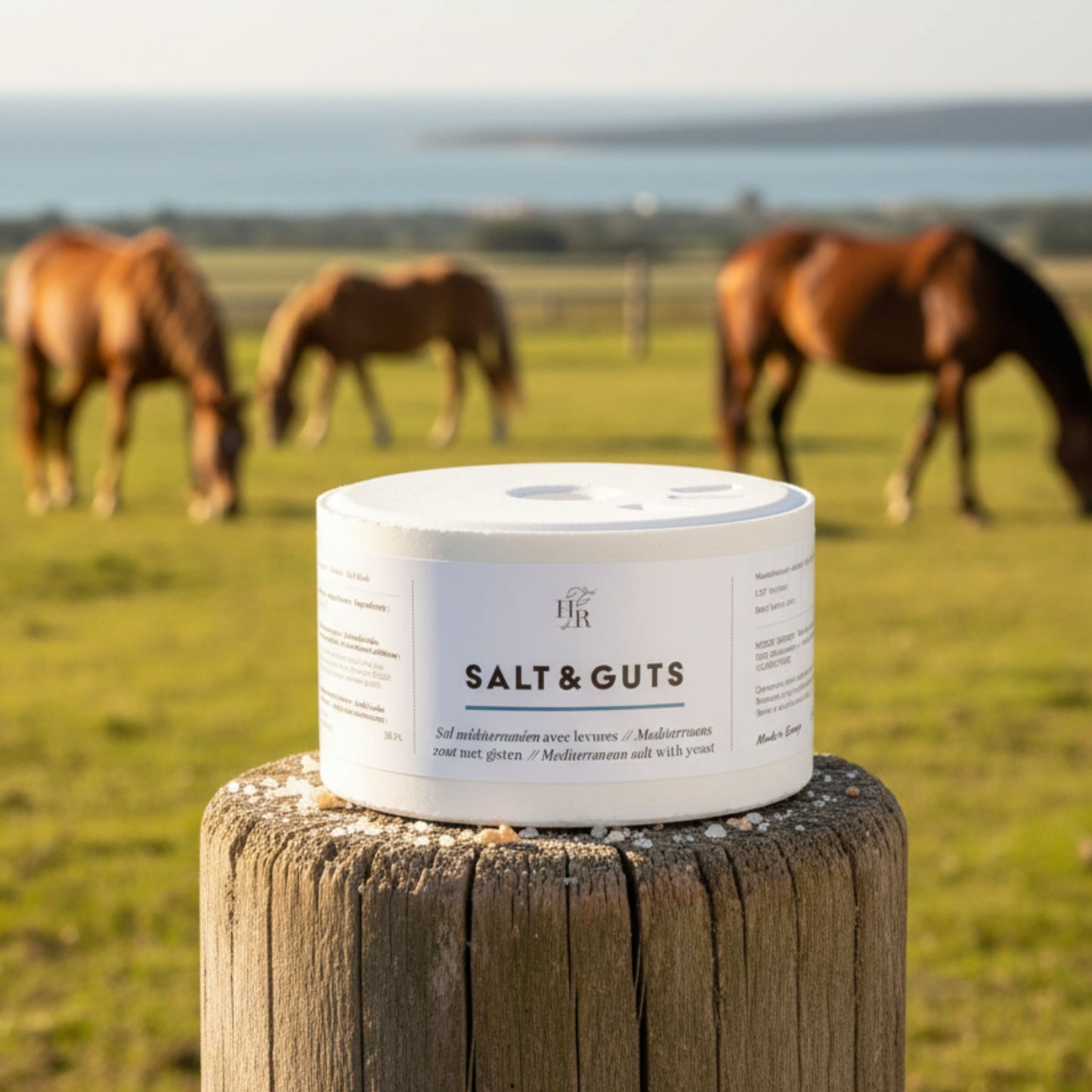 Salt & Guts