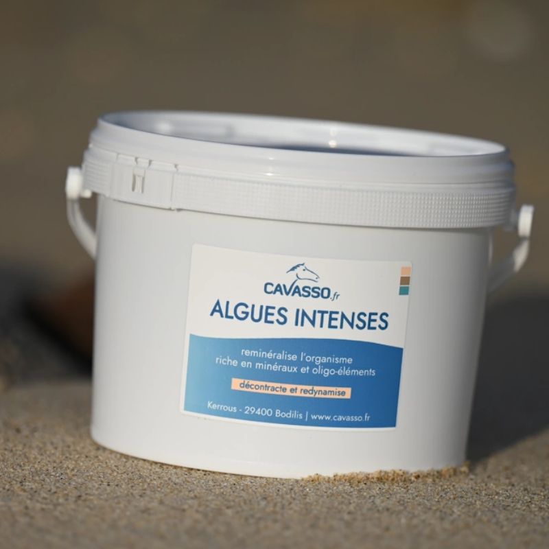Intense Premium Seaweeds 2,5 Kg