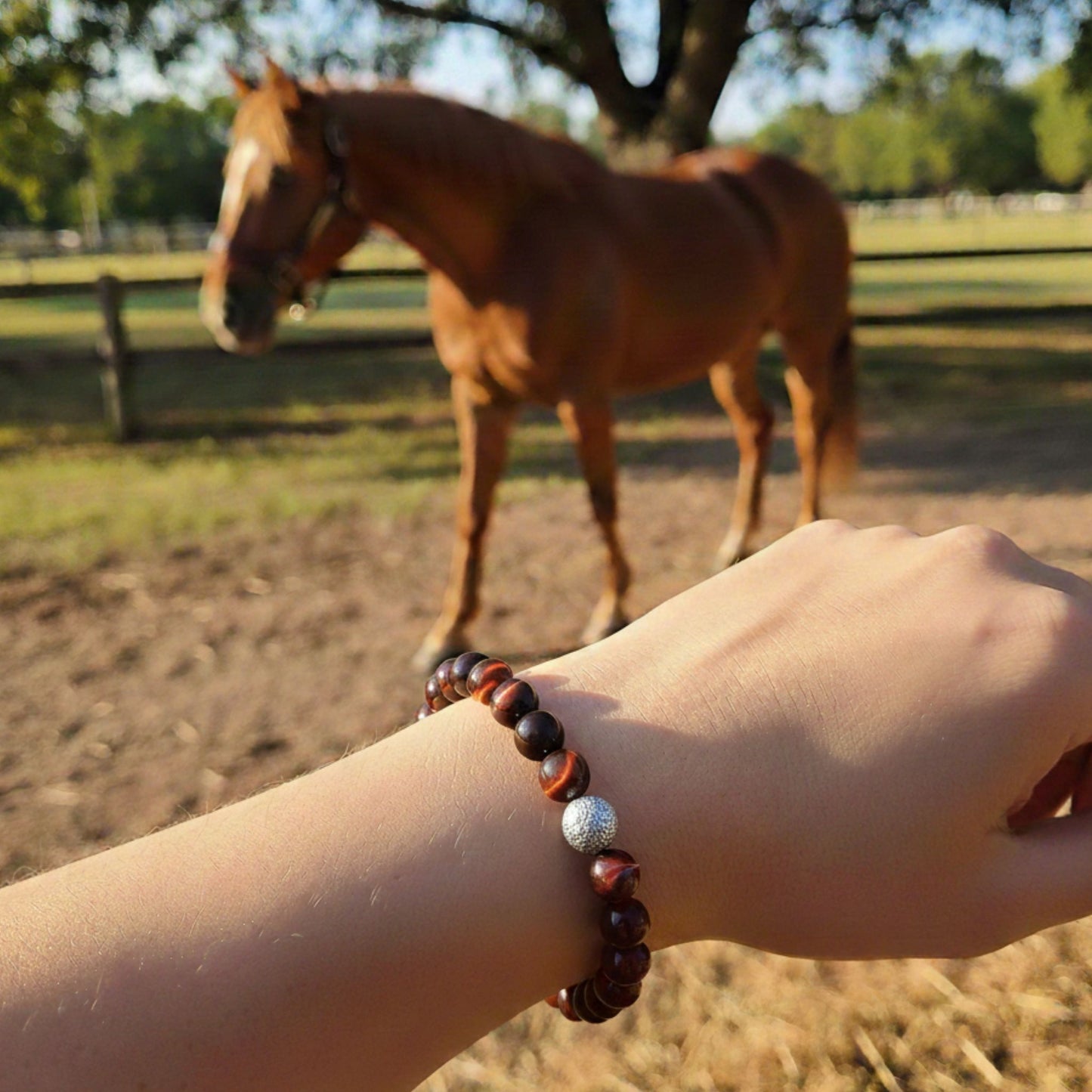 Oeil de taureau Lithothérapie cheval Horse Remedy