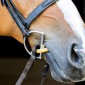 ThinLine Bridle Busy Buddy - Calming horses