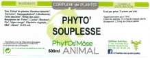 Phyto'souplesse translates to "Phyto'suppleness" in English.