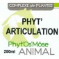 Phyt'articulation animal betekent "fyto-articulatie voor dieren" in het Nederlands.