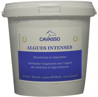 Intensieve Premium-algen