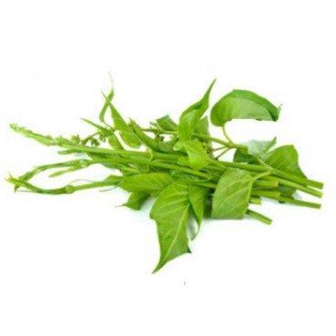 Gymnema Sylvestris is a herb native to India and Africa. It is known for its medicinal properties and is commonly used in tradit