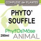 Phyto'Souffle wordt vertaald als "Plantaardige Soufflé".