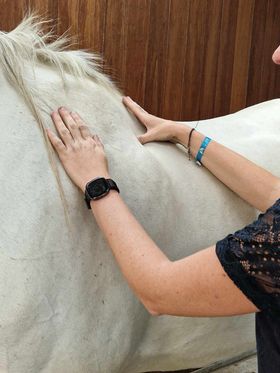Les chevaux au mauvais tempérament 