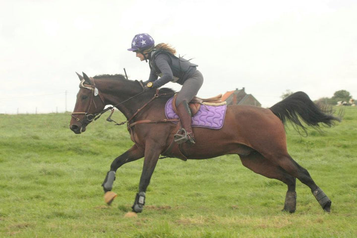 Problèmes de comportement ? 