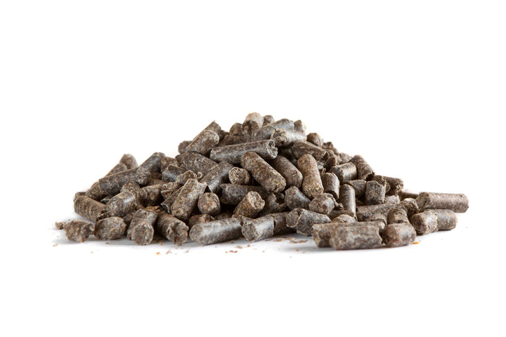 Suppléments de Pulpe de Betterave pour la Santé Intestinale des Équidés