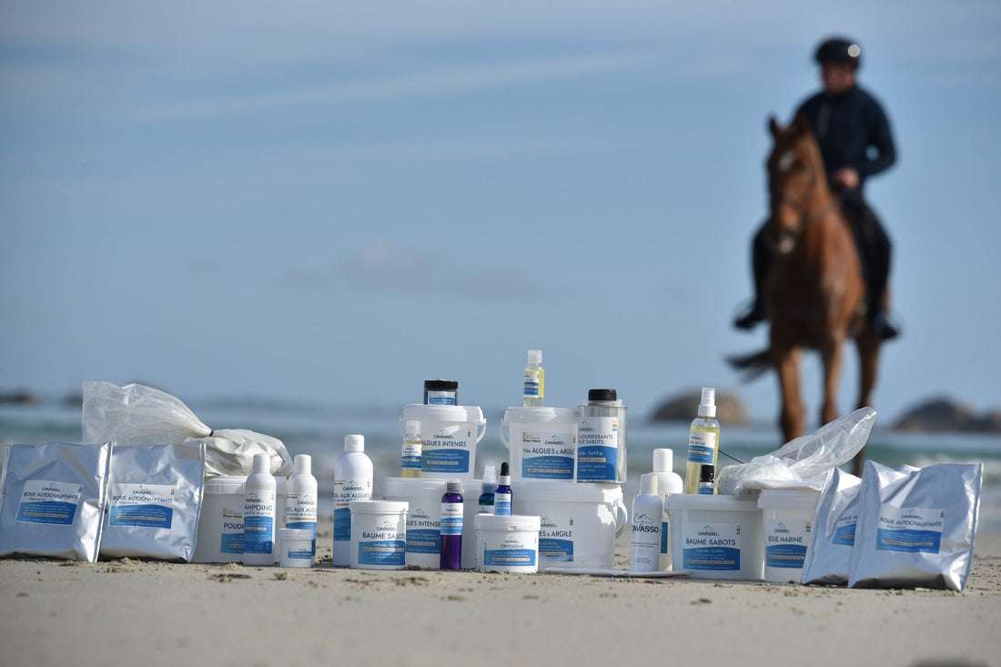 Cavasso et Horse Remedy : un partenariat durable au service du bien‑être équin