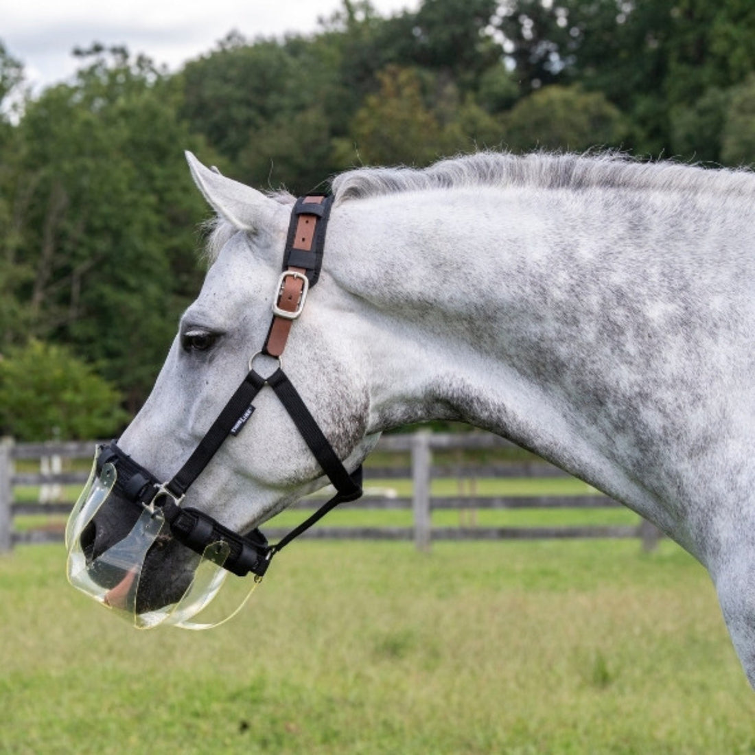 🌿 ThinLine : la technologie flexible qui révolutionne les paniers de pâturage pour chevaux