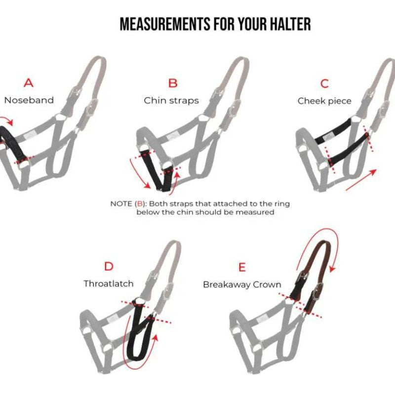 Licol de sécurité ThinLine®