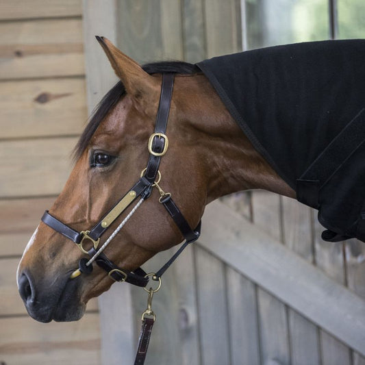 ThinLine Busy Buddy - Calmer les chevaux