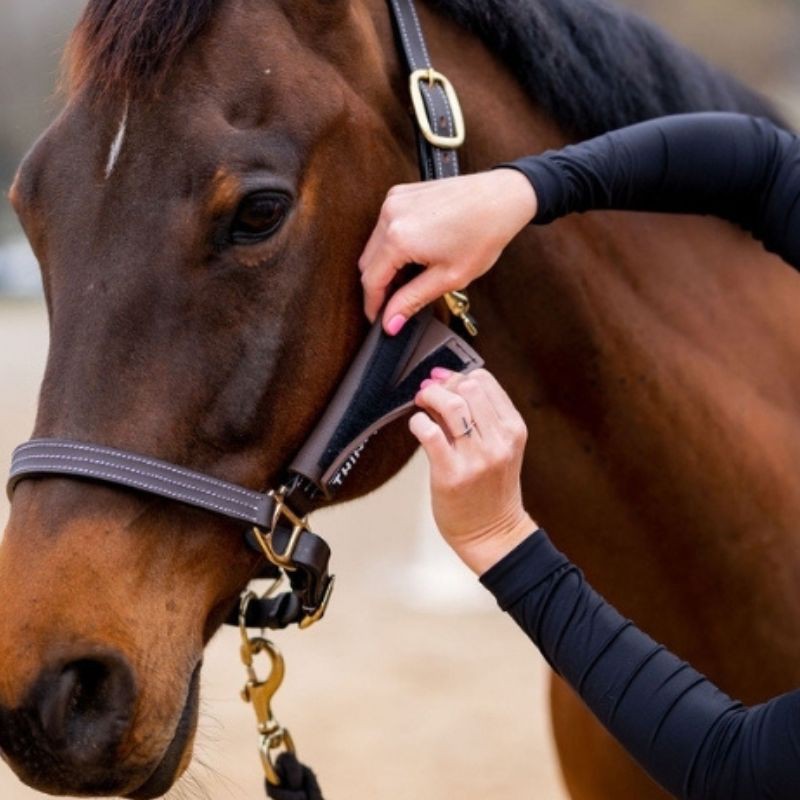 Protections de joues pour Licol Thinline