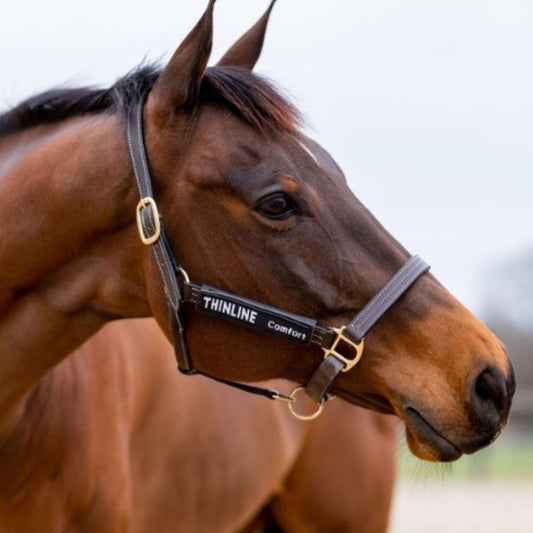 Protections de joues pour Licol Thinline