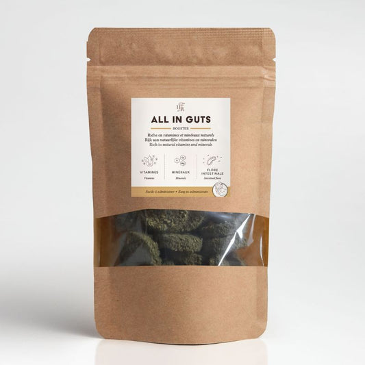 All in Guts - CMV naturel et probiotiques cheval