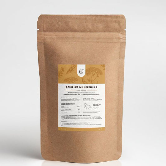 Achillée Millefeuille