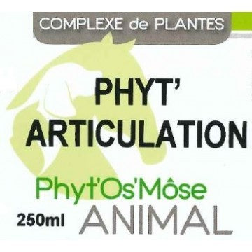 Phyt'articulation animal