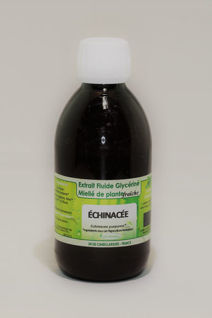 Echinacéa EFGM