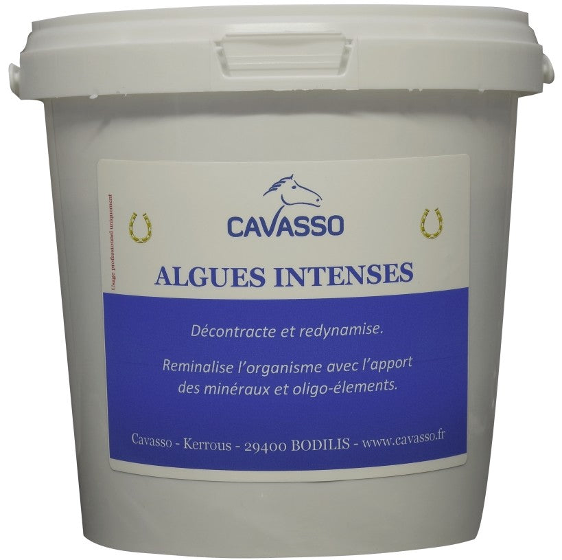 Algues intenses Premium