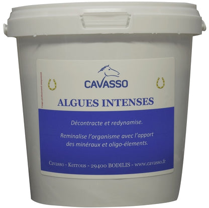 Algues intenses Premium