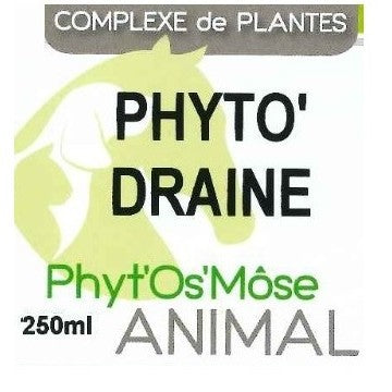 Phyto'Draine - Drainage cheval