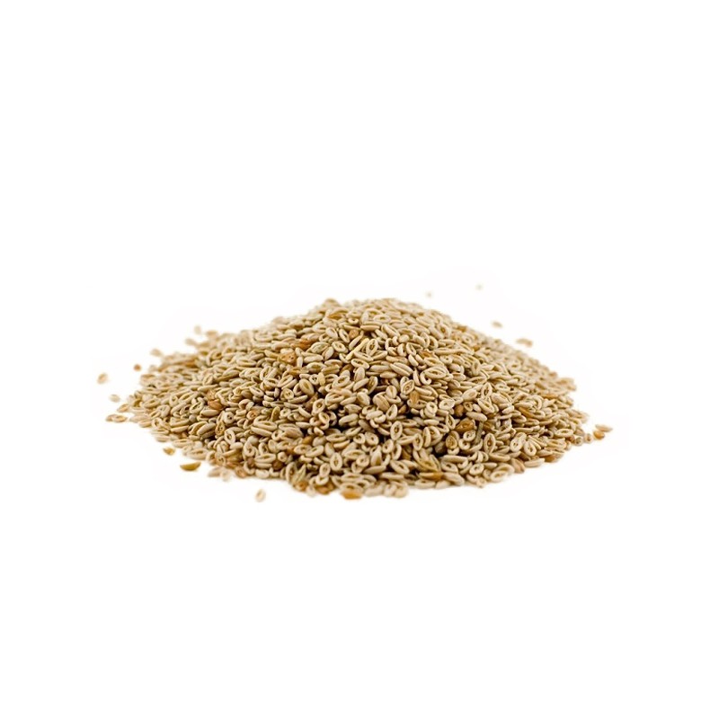 Super Sandexx - Psyllium cheval