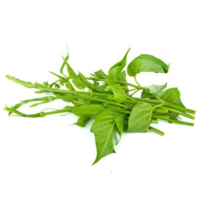 Gymnema Sylvestris