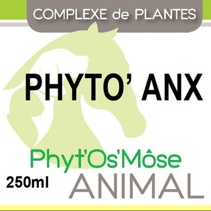 Phyto'Anx - Stress cheval