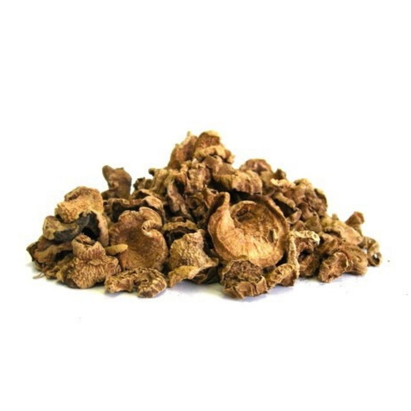 Harpagophytum Pur