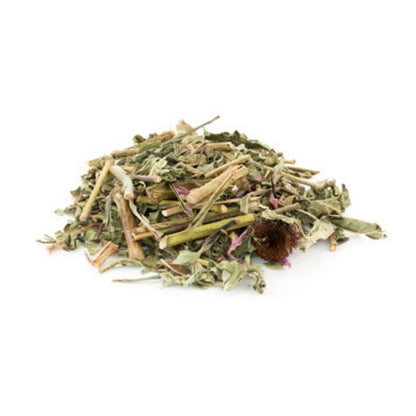 Echinacée Racine - système immunitaire cheval