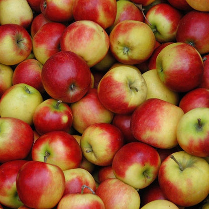 Equi Apple vinegar