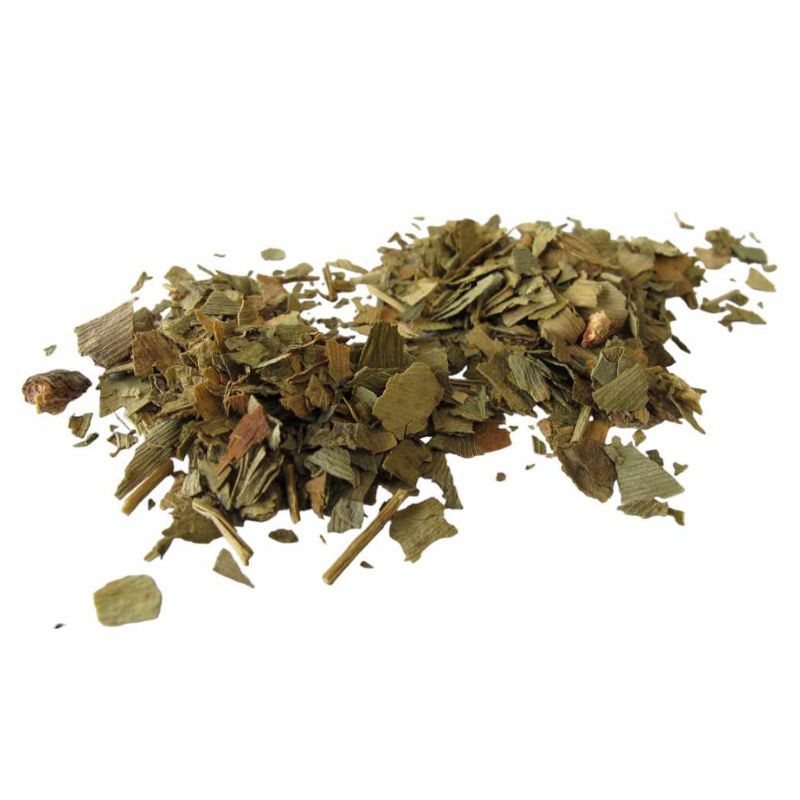 Ginkgo Biloba