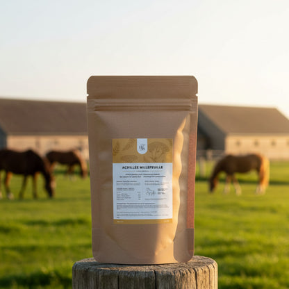 Achillée Millefeuille Cheval Horse Remedy