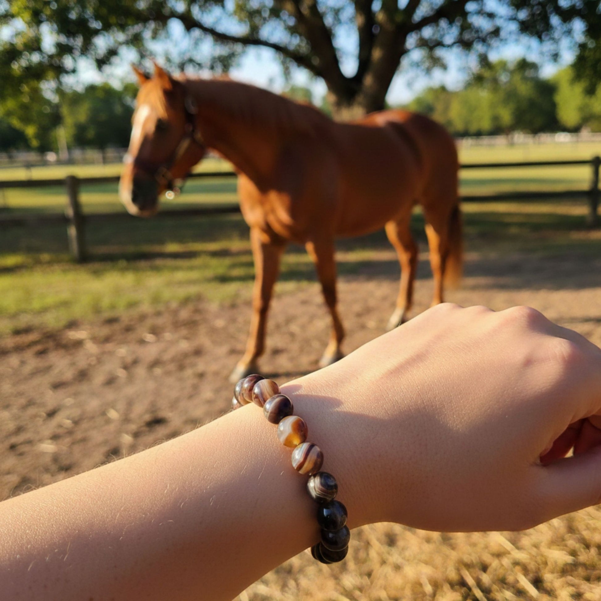 Agate Lithothérapie cheval Horse Remedy