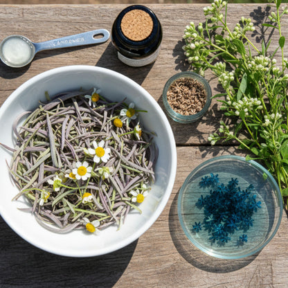 Allerg'aid Cheval Horse Remedy