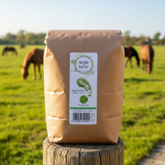 Argile_verte_cheval_Horse_Remedy