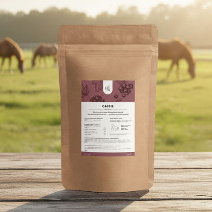 Cassis_cheval_Horse_Remedy