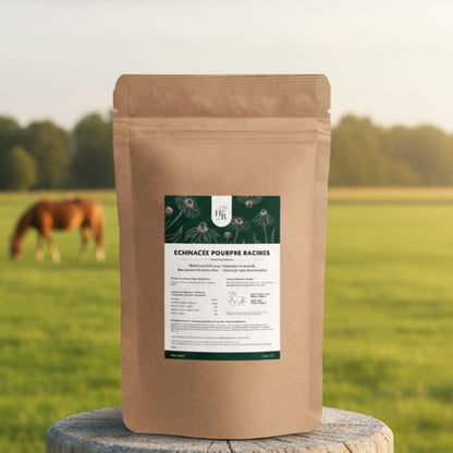 Echinacea_racine Cheval Horse Remedy