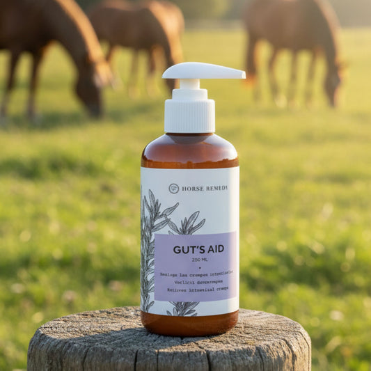 Gut's Aid Cheval Horse Remedy