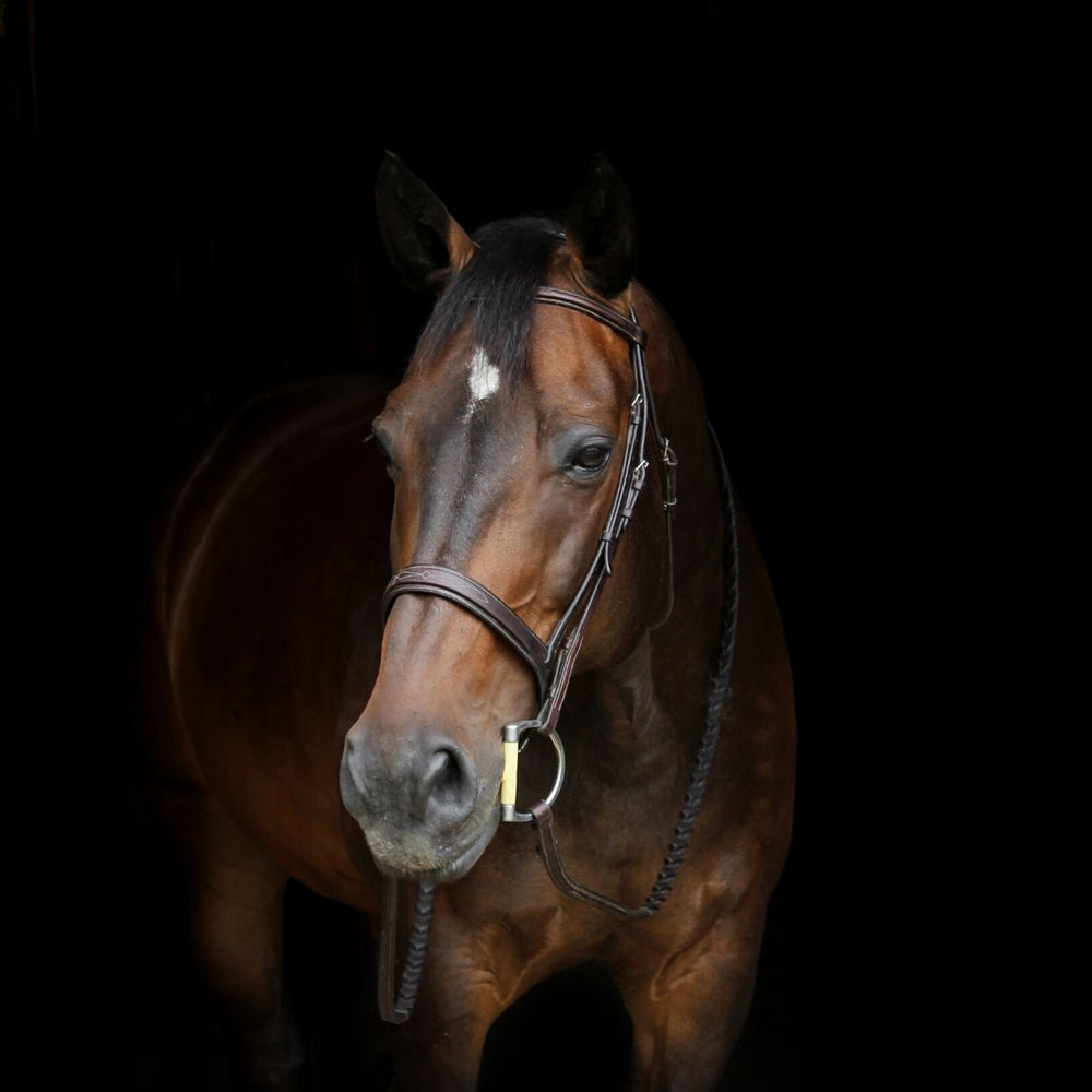 Naturopathie équine - Horse Remedy