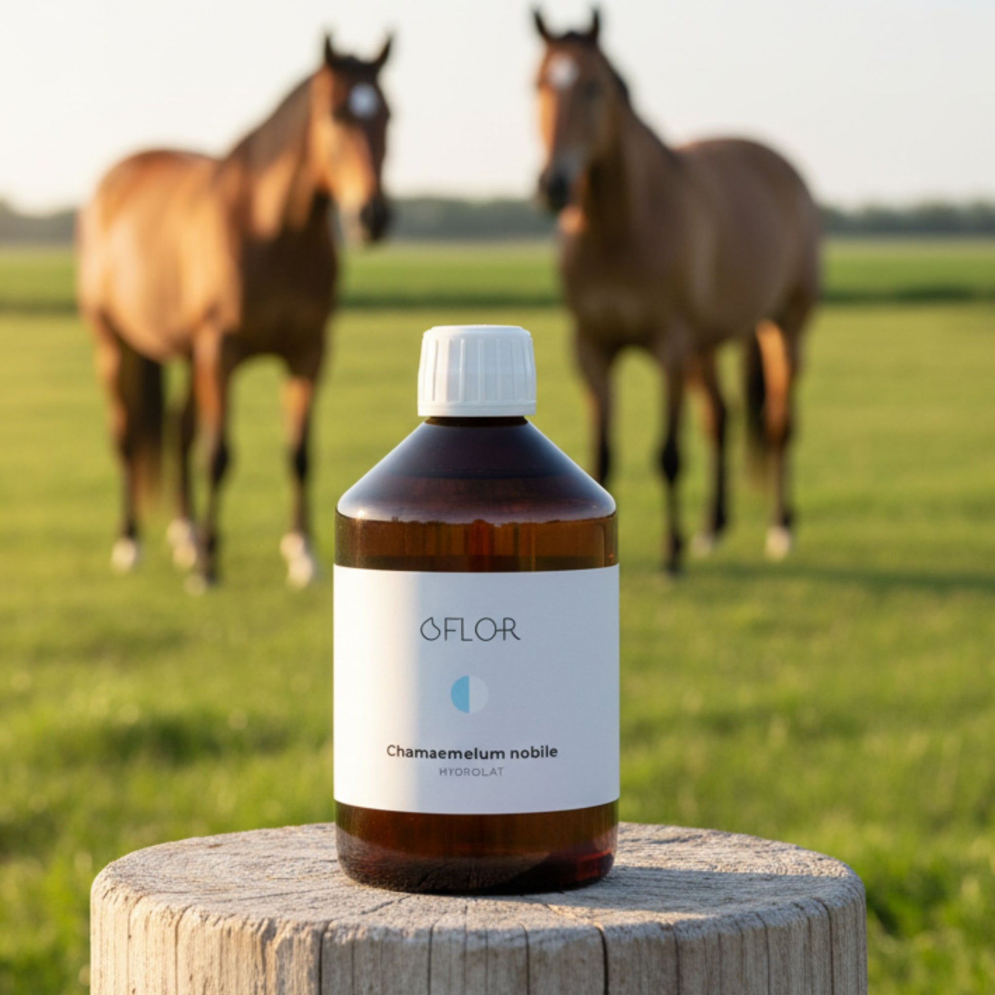 Hydrolat camomille Cheval Horse Remedy